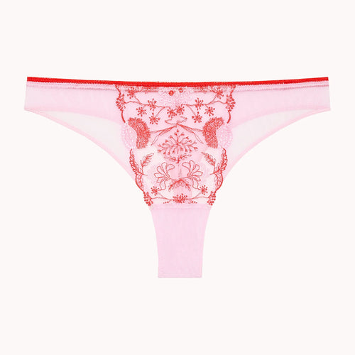 passionata lace pink thong