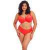 red plus size lingerie