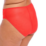 red deep brief